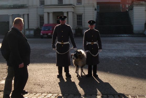 Two uniformed men standing in front of an old building. They are wearing white hats, long coats and white belts are holding a sheep on leashes.