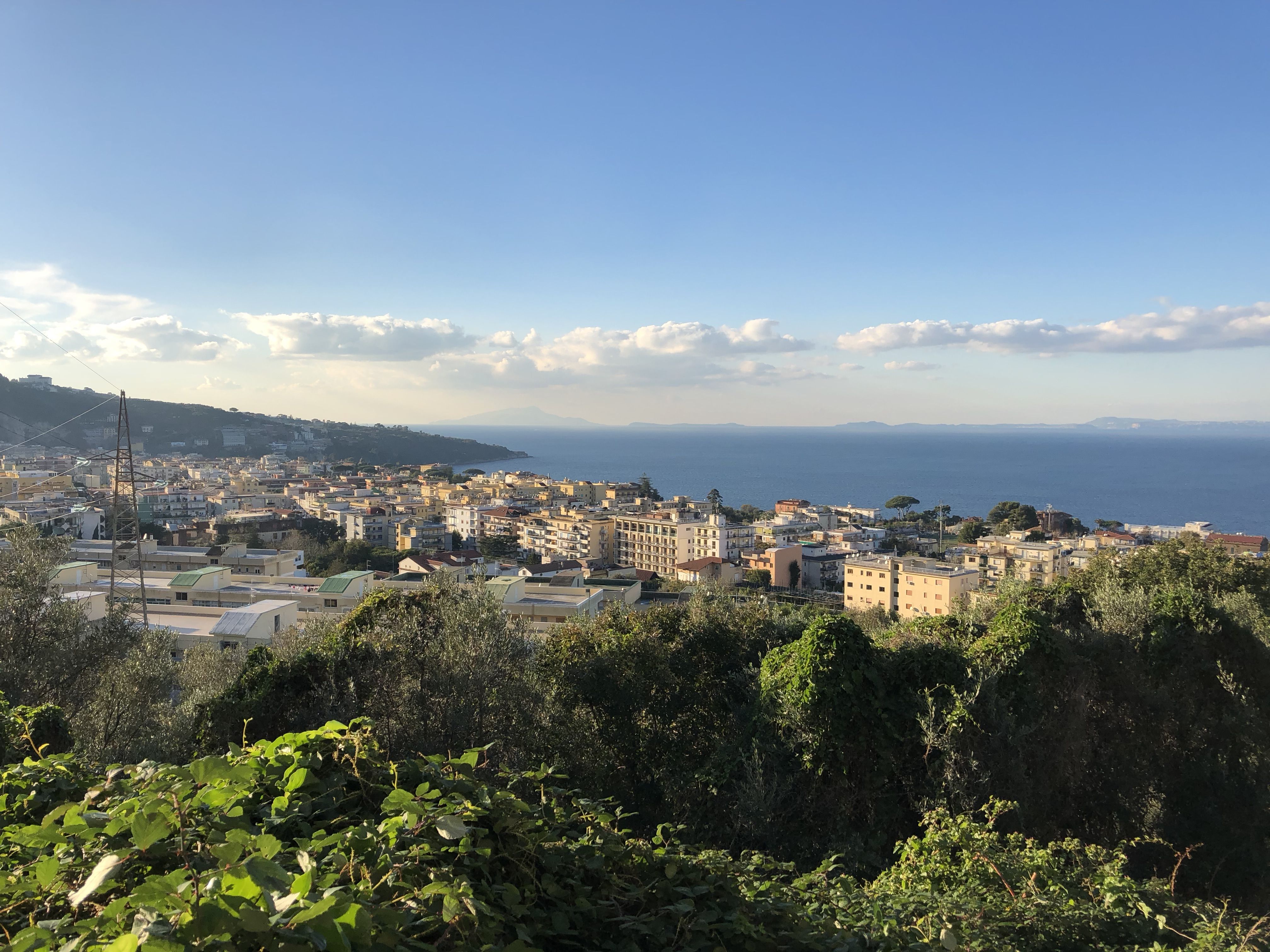 Looking down on Sorrento from a hill on a sunny day.  In the foreground, the tops of trees; behind and below  all of Sorrento's buildings — hotels and apartment blocks clustered together; beyond them, the blue water of the Bay of Naples.