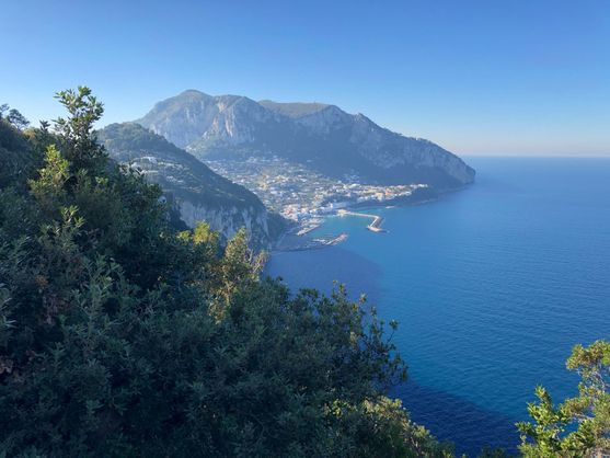 The view from Monte Tiberio across a bay in Capri. The bay is far below us, and there are trees on one side in the forground. The sky is blue, it's sunny and the water is a clear, deep blue.