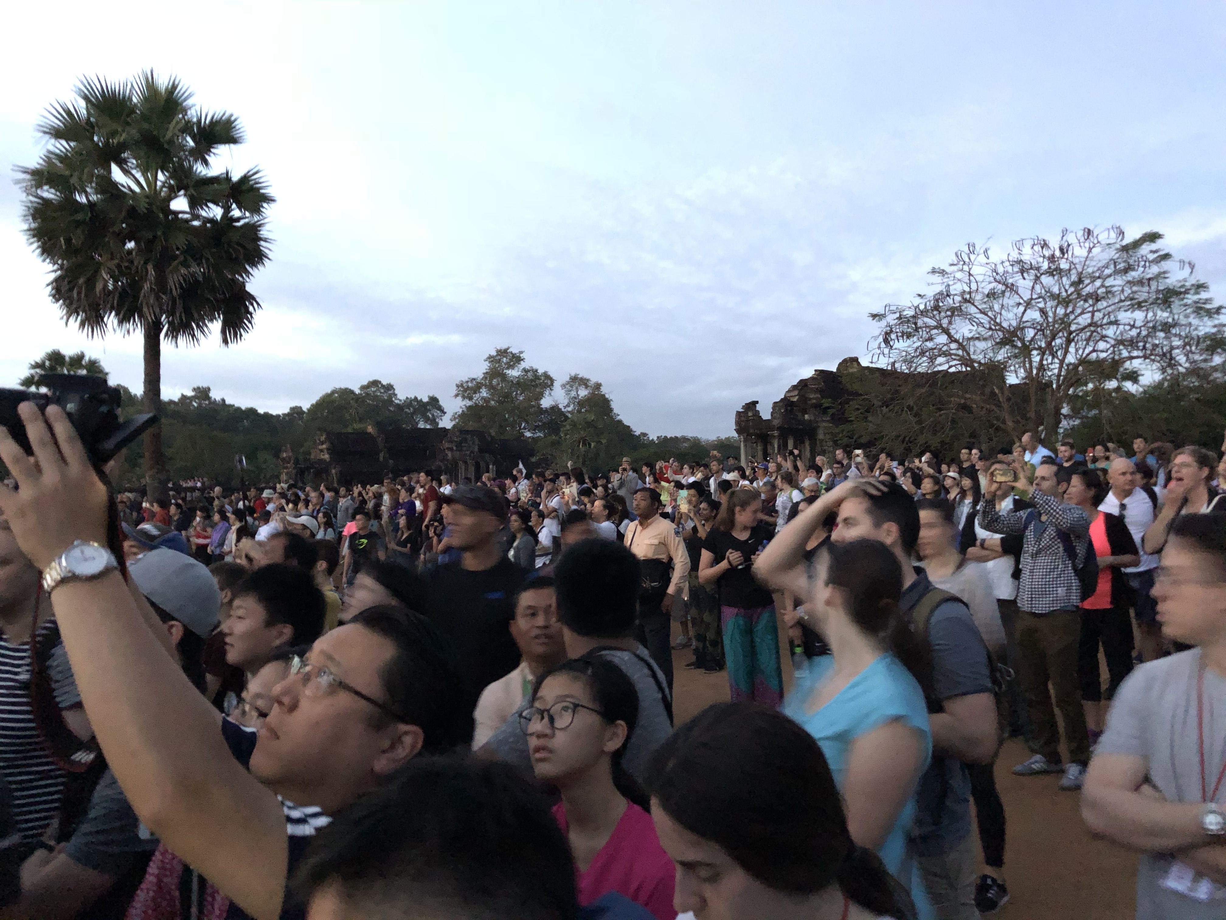 A massive packed crowd of tourists looking over to the left at Angkor Wat, which is out of frame. Some are holding cameras. There's a palm tree in the background.