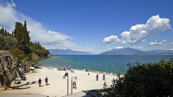 A beautiful golden beach on a sunny day, with trees on both sides. Looking out to sea, there are snow-capped mountains in the distance.