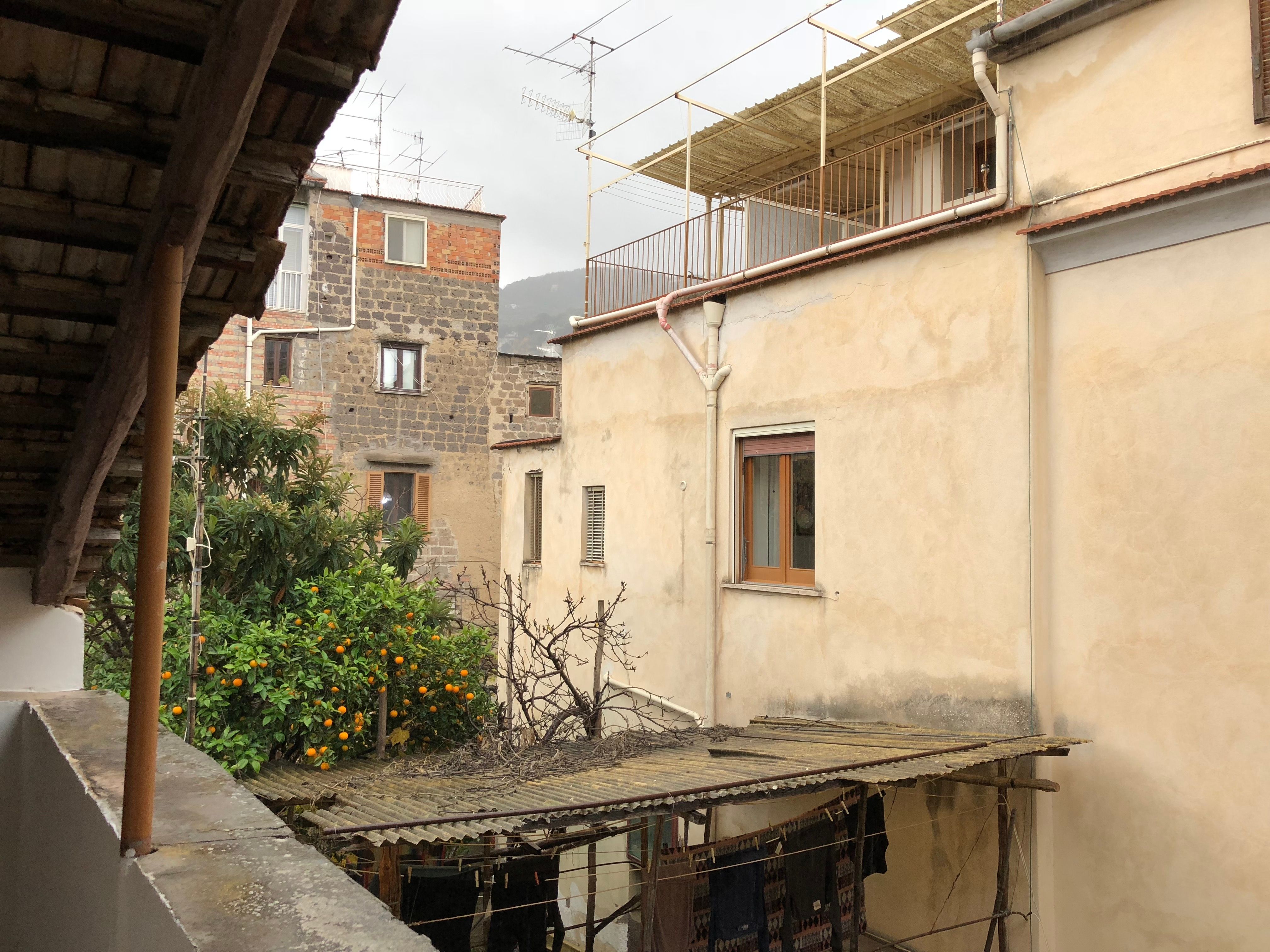 A sunny courtyard. The buildings around it are run down and their roofs are covered in TV antennas. An orange tree grows on one side.