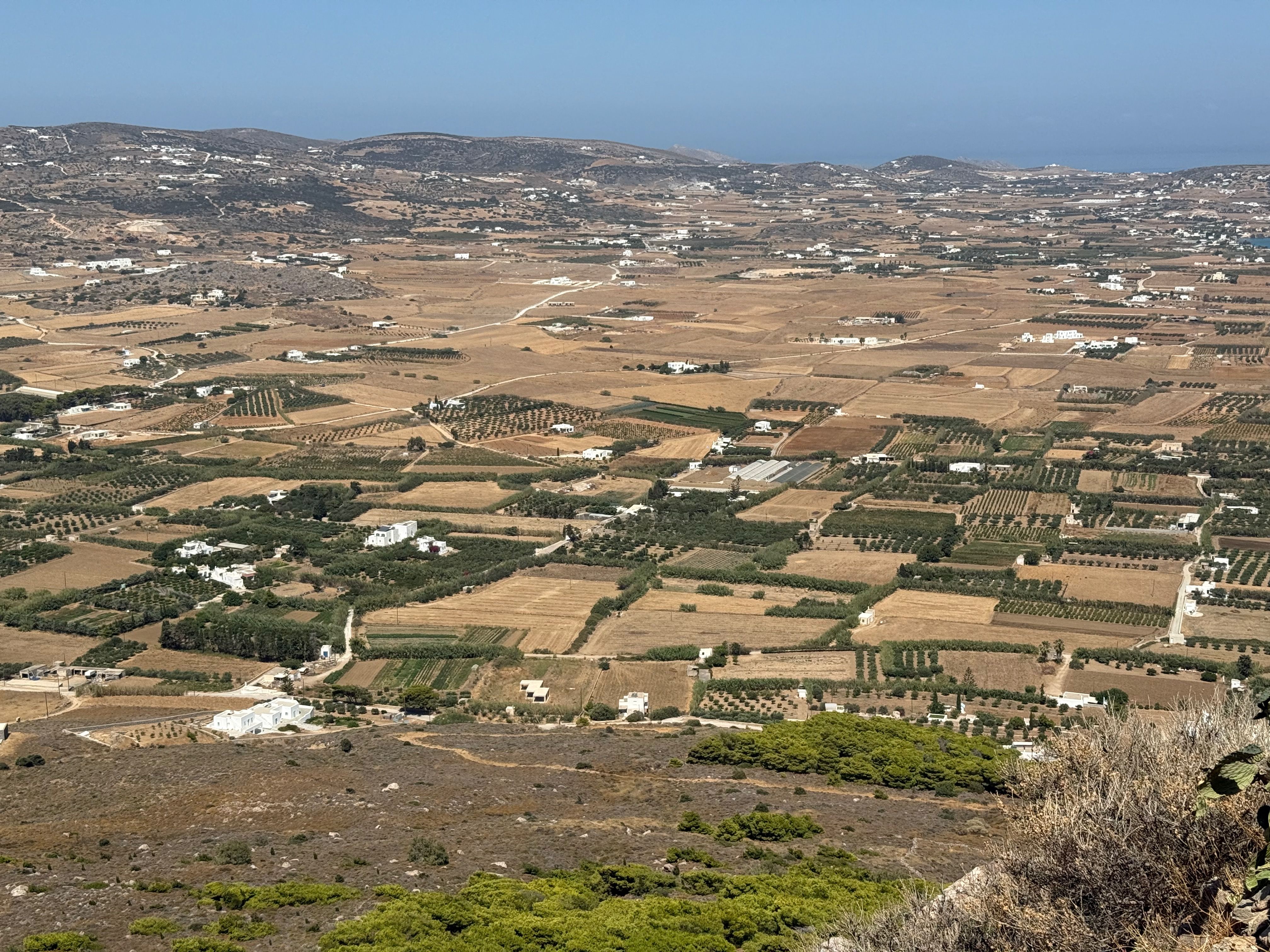 Another view from Agios Antonios. There's a patchwork of fields, some empty, some with rows of olive trees. Scattered among the fields are small white houses.