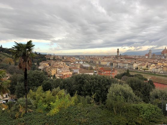 Looking out towards Florence from above. In the foreground, lots of trees and vegetation; beyond that an arched bridge crosses a green river; beyond that all the white buildings and red roofs of the city. The domed cathedral is just visible on the right.